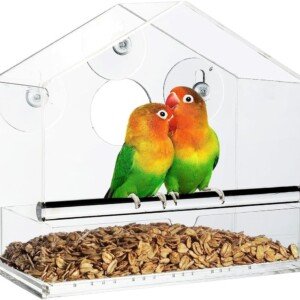 Acrylic Window Bird Feeder with Strong Suction Cups