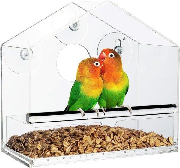 Acrylic Window Bird Feeder with Strong Suction Cups