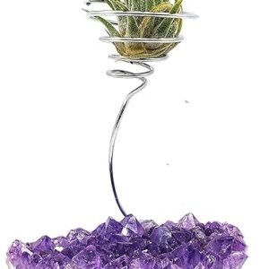 Amethyst Crystal Air Plant Holder