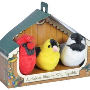 Authentic Bird Sounds Collection for Kids