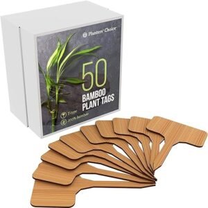 Bamboo Plant Labels in Gift Box