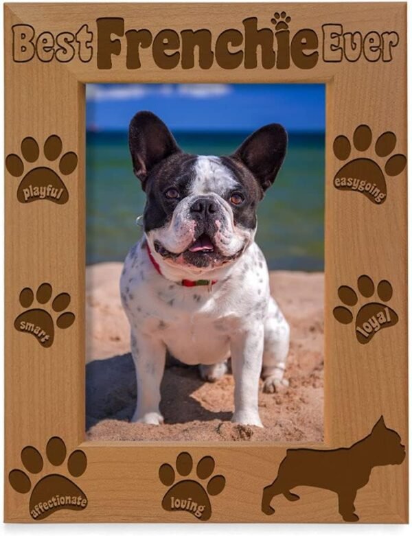 Best Frenchie Ever Wood Picture Frame