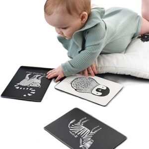 Black and White Animal Flash Cards