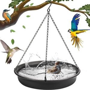 CARGEN Hanging Bird Bath and Feeder