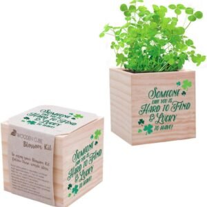 Clover Seed Cube – St Patrick’s Day Appreciation Gift