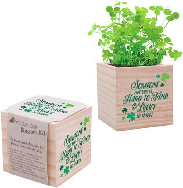 Clover Seed Cube - St Patrick's Day Appreciation Gift