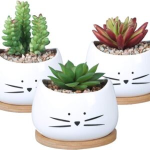 Cute Cat Ceramic Succulent Planter