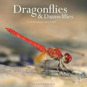 Dragonflies & Damselflies: Nature’s Flying Jewels