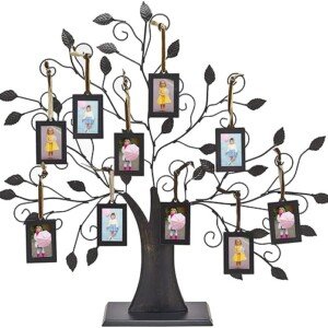 Family Tree Picture Frames with Hanging Photo Frames