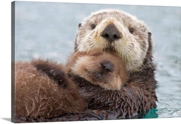 Female Sea Otter with Newborn Pup Canvas Print