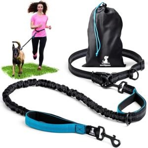 Hands-Free Dog Leash with Reflective Stitches