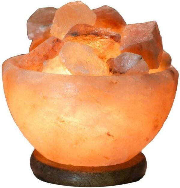 Himalayan Salt Lamp Bowl with Dimmer