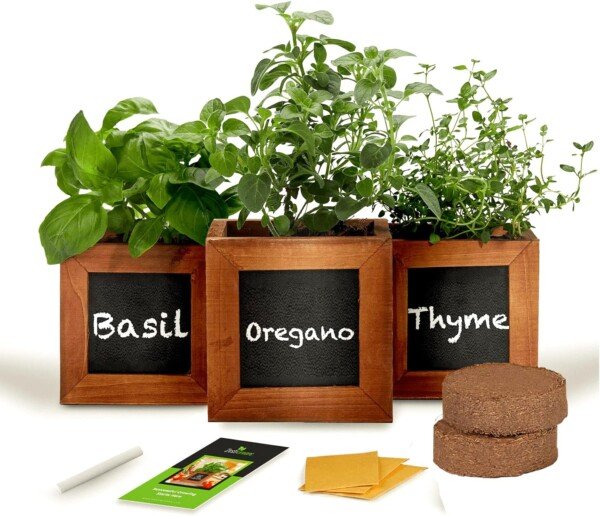 Indoor Herb Garden Kit - DIY Kitchen