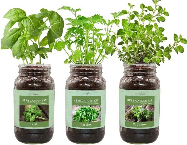 Indoor Herb Gift Set with Mason Jars