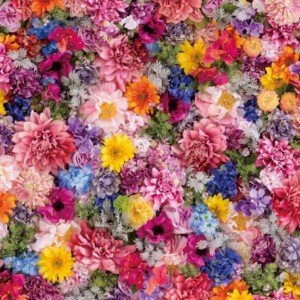 Ingooood Tranquil Series Flower Jigsaw Puzzle