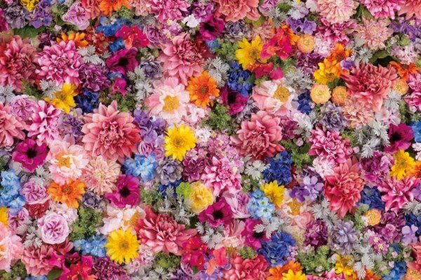 Ingooood Tranquil Series Flower Jigsaw Puzzle