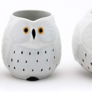 Japanese Ceramic Tea Pot Set, White Owl