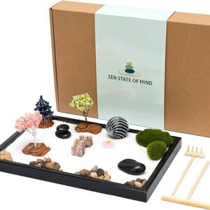 Japanese Zen Garden Kit with Accessories