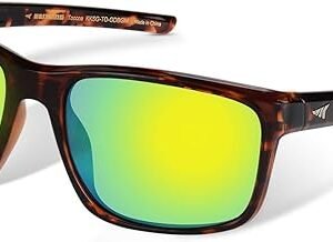 KastKing Toccoa Sport Sunglasses: Ideal for Driving, Fishing, and Running