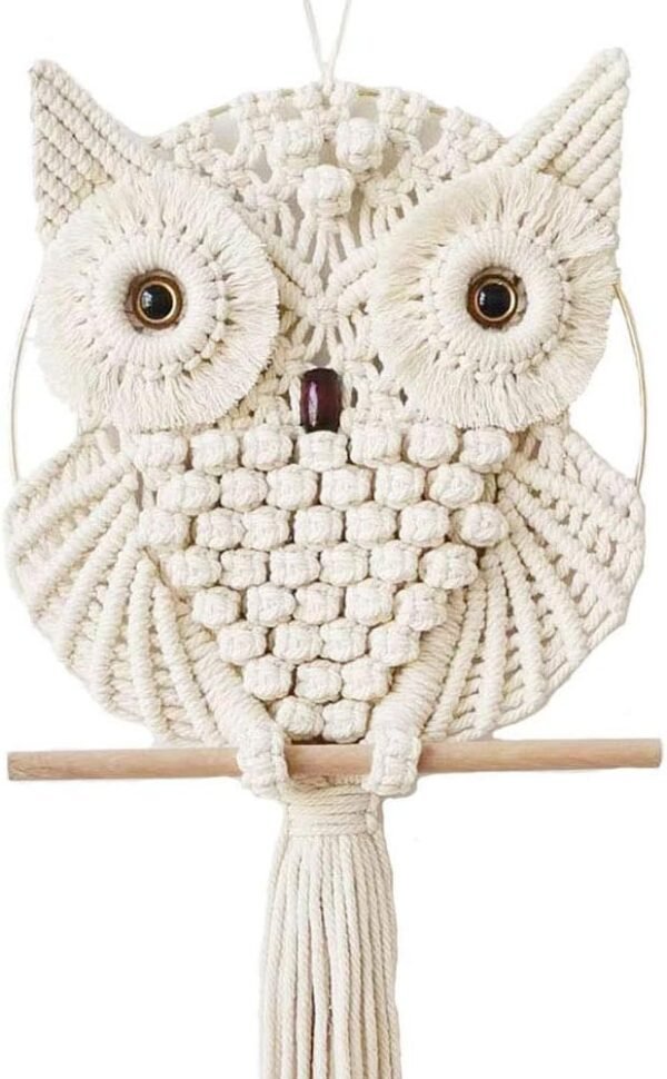 Macrame Owl Wall Hanging - Boho Decor