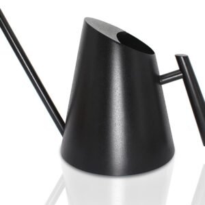 Matte Black Indoor Watering Can