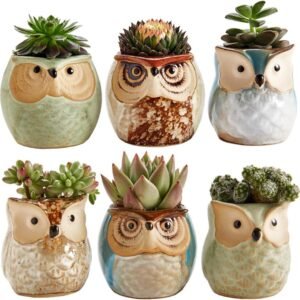 Owl Ceramic Succulent Plant Pot with Drainage