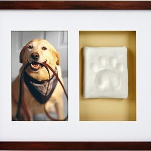Pearhead Pet Paw Prints Wall Frame