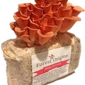 Pink Oyster Mushroom Grow Kit