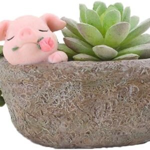 Rose Pig Succulent Home Decor Pot