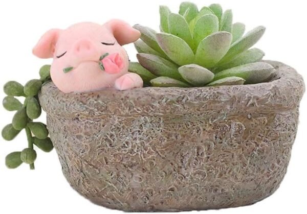 Rose Pig Succulent Home Decor Pot