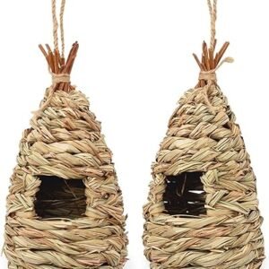 Set of 2 Humming Bird Houses