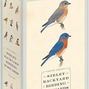 Sibley Bird Postcards: 100 Backyard Birds