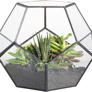 Small Geometric Glass Terrarium Planter