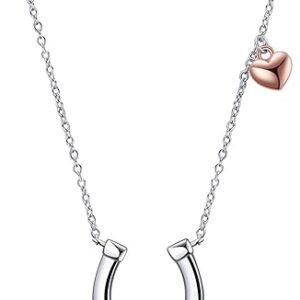 Stylish Horseshoe Necklace for Women