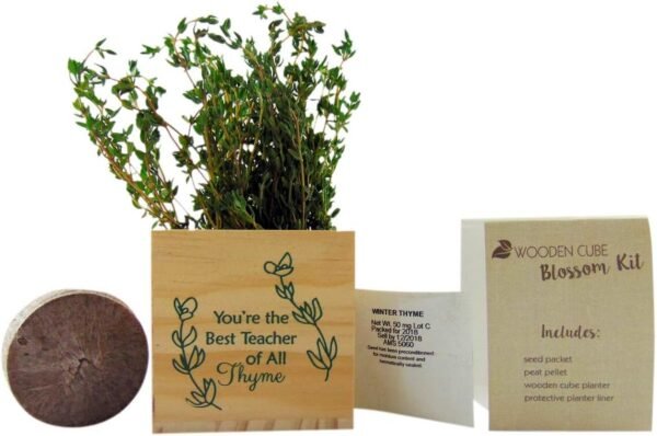 Teacher Plant Appreciation Gift Set