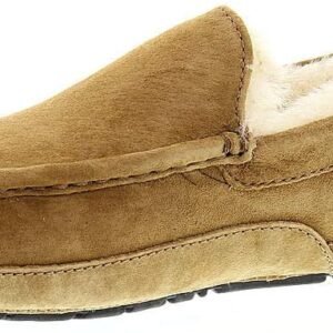 UGG Ascot Men’s Slipper