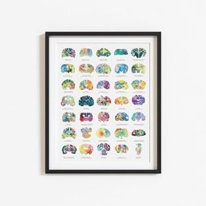 Veterinary Neuroscience Wall Art – Signed