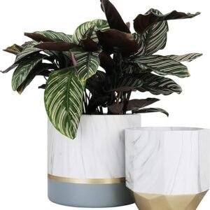 White Ceramic Flower Pot with Gold and Grey Detailing