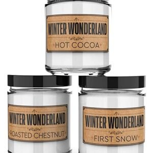 Winter Wonderland Scented Soy Candles - Handmade in USA