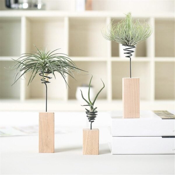 Wood Stand Air Plant Holder