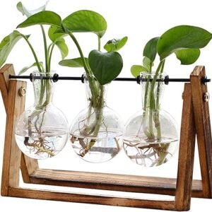 Wooden Stand Flower Terrarium - Retro Hydroponics Decoration